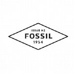 Fossil Store