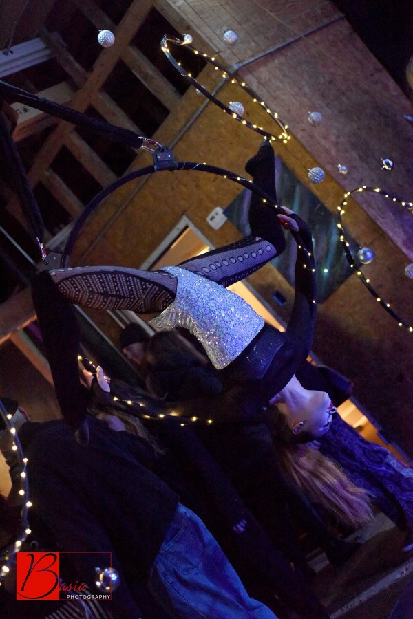 The Bird's Nest Circus Arts