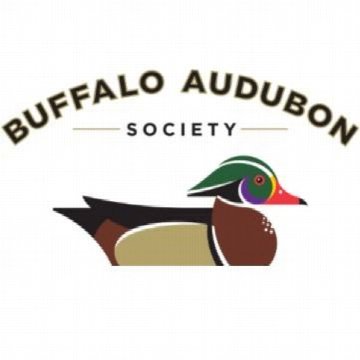 Beaver Meadow Audubon Center in Buffalo
