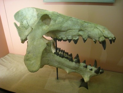 Buffalo Museum of Science