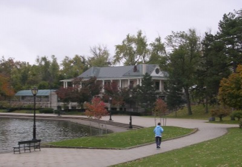 North Buffalo