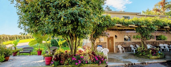 Merritt Estate Winery