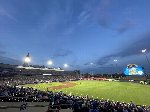 Buffalo Bisons