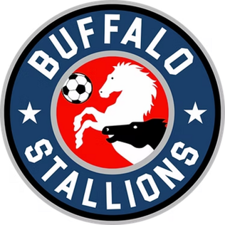 Buffalo Stallions