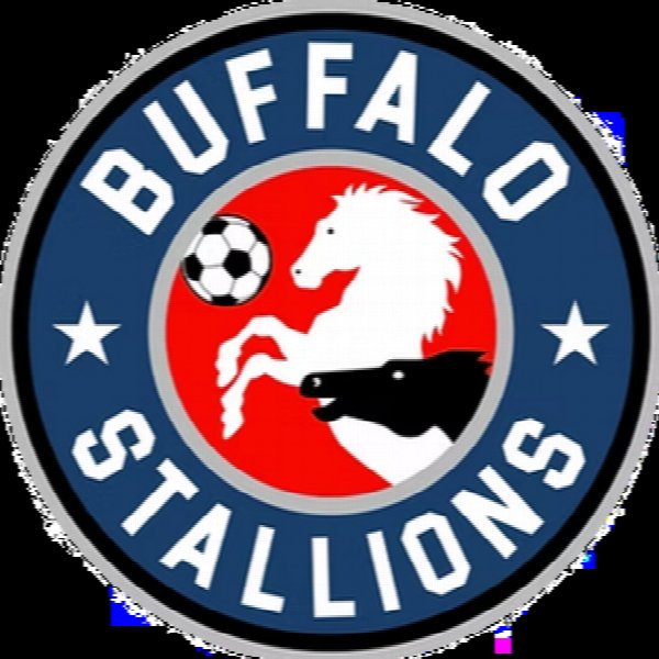 Buffalo Stallions