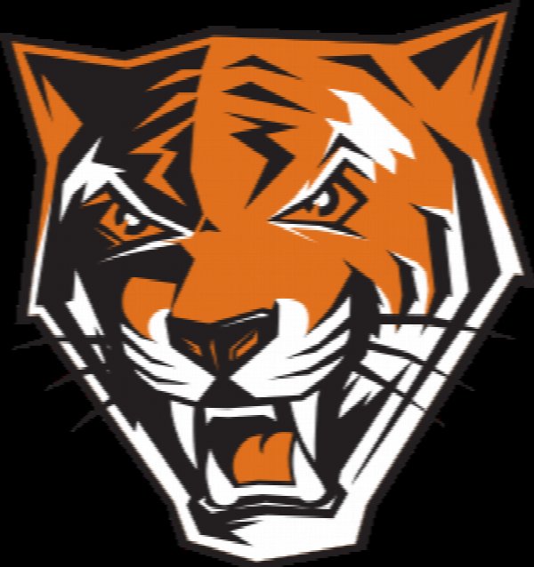 Buffalo State University Division III Men's Basketball