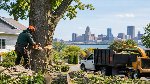 Eco Pro Tree Service