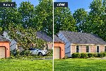 Eco Pro Tree Service