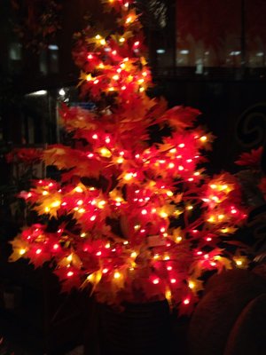 Woyshner's Flower Shop